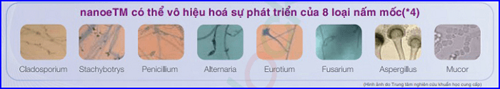 Công nghệ NanoE vô hiệu hóa sự phát triển của 8 loại vi khuẩn