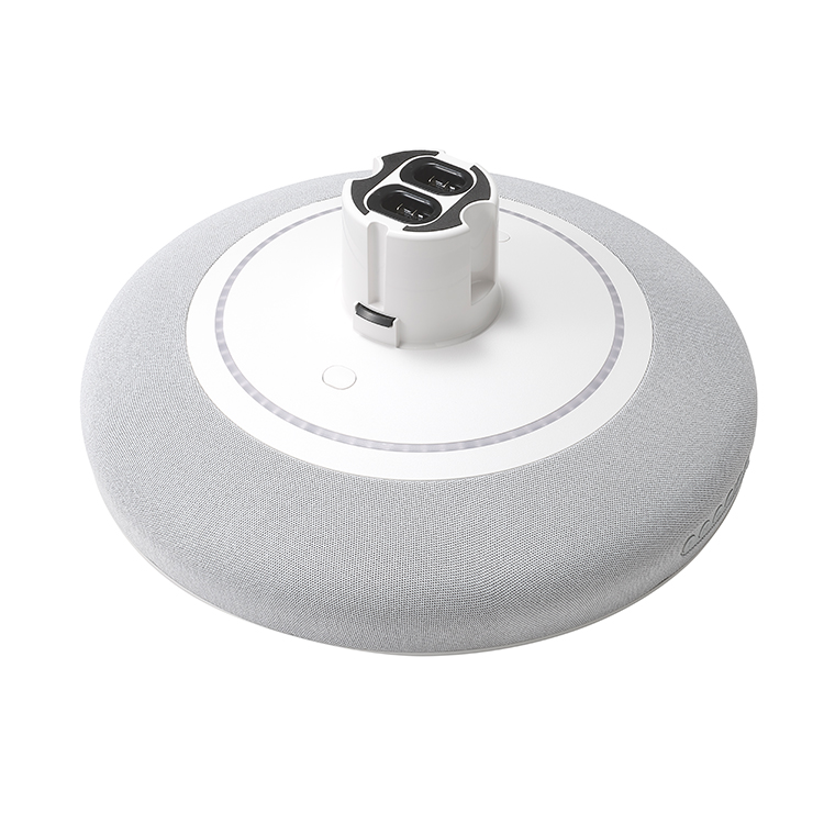 Máy lọc không khí kết hợp loa bluetooth LG PuriCare™ Aerospeaker AS20GSHU0