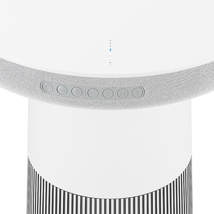 Máy lọc không khí kết hợp loa bluetooth LG PuriCare™ Aerospeaker AS20GSHU0
