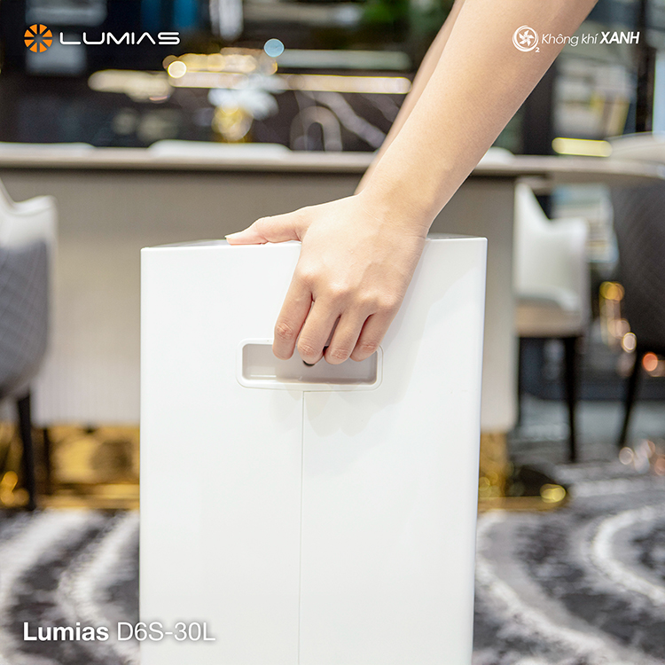 Máy hút ẩm lọc không khí Lumias D6S-30L