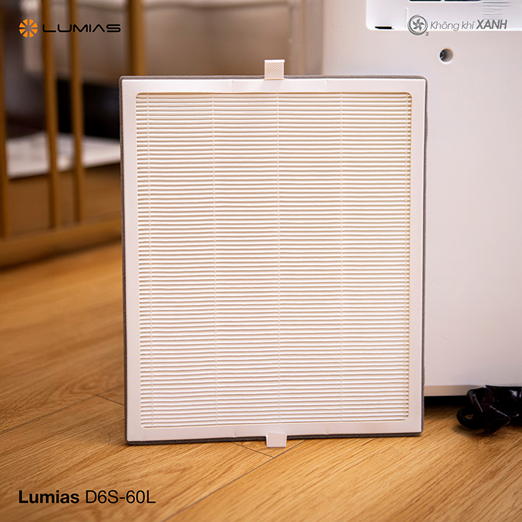 Máy hút ẩm lọc không khí Lumias D6S-60L