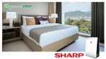 (Review) Đánh Giá Máy Lọc Không Khí Và Tạo Ẩm Sharp KC-F30EV-W