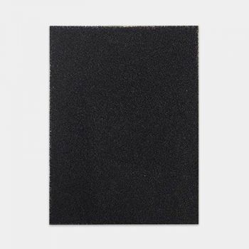 Màng lọc trung gian A3 Coway AP-1008CH