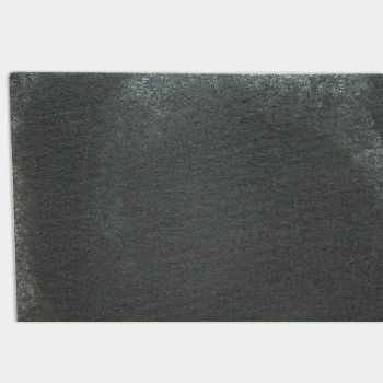 Màng lọc khử mùi Coway AP-1512HH