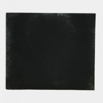 Màng lọc khử mùi Coway AP-1512HH