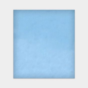 Màng lọc trung gian Coway AP-1018F