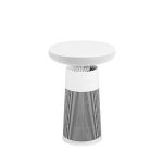 Máy lọc không khí kết hợp loa bluetooth LG PuriCare™ Aerospeaker AS20GSHU0