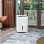 Máy hút ẩm lọc không khí Lumias D6S-30L