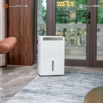Máy hút ẩm lọc không khí Lumias D6S-30L